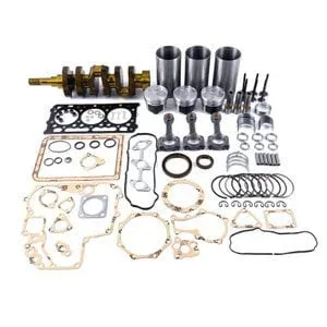 Overhaul Rebuild Kit for Kubota D902 – Service Part